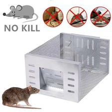 Rattenfalle Mausefalle