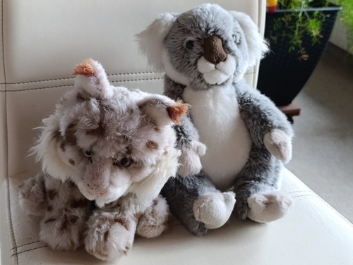 Plüschtier luchs und koala - plüschtier,