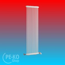 Arbonia Röhrenradiator  Röhrenheizkörper 2 Säuler Anschlusstechnik 12  