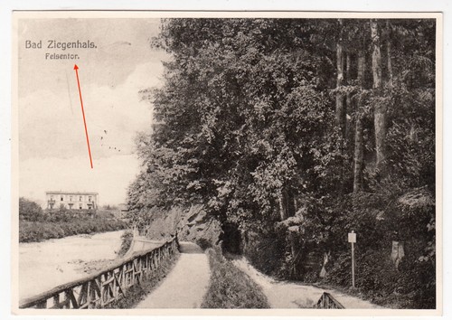 Alte repro bad - alte, ziegenhals