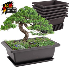Bonsai Schalen Set 6 Stück