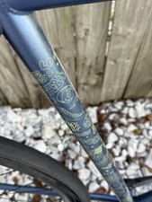 Raleigh Single Speed 700c Blue