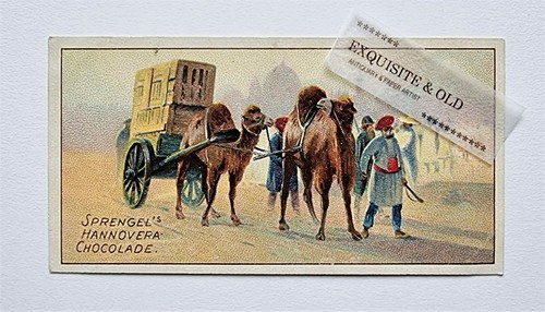 Sprengel chocolade hannover - chocolade,