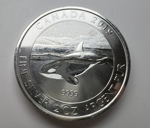 Kanada 2019 2oz orca wal - 2019,