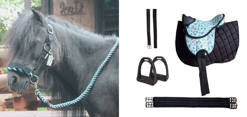 Komplettes reitsattel set - komplettes,