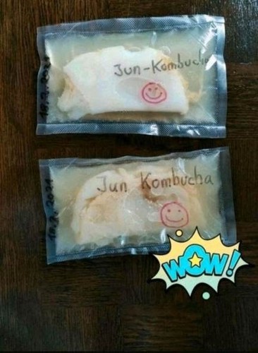 Echter jun kombucha - echter, ur-