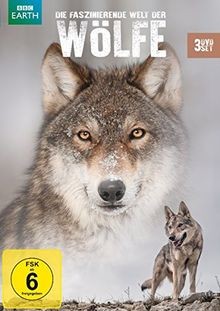 Die faszinierende welt der - die,