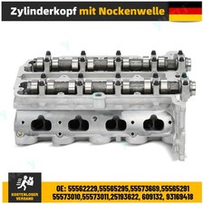 55565295 55565291 Zylinderkopf