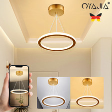 LED Gold Ring Pendelleuchte