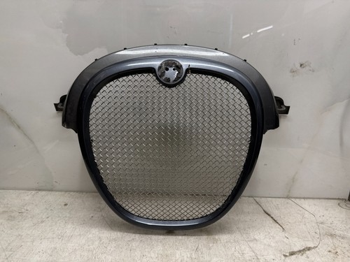 Jaguar type grill - r,