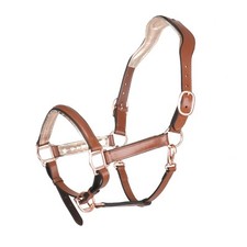 BergReiter anatomisches