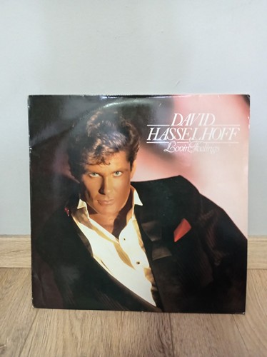 David hasselhoff lovin - hasselhoff,