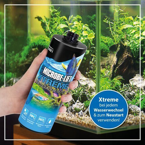 Aquarium wasseraufbereiter - aquarium,