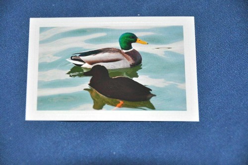 Rewe abenteuer tierwelt - rewe,
