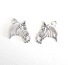10 Tibetisches Silber Charms -