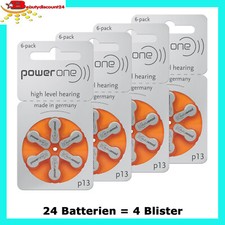 24 Batterien PowerOne Typ 13