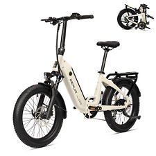 E-Bike Klapprad DERUIZ 20Zoll