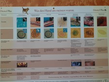 2 Poster "Hundeparasiten" "Katzenparasiten" Tierarzt, Klinik und Wurmeier,