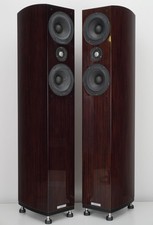 ASW GENIUS 310 -