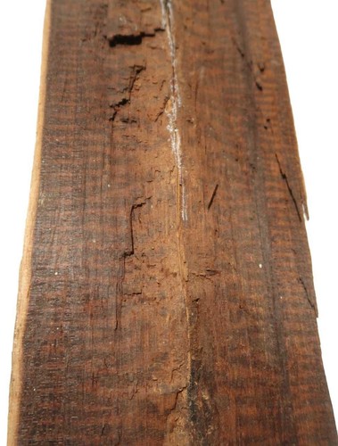Schlangenholz snakewood - schlangenholz,