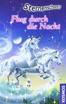 Flug durch die nacht - durch,