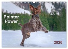 Pointer Power (Wall Calendar 2026 DIN A3 landscape), CALVENDO 12 Month Wall Cale
