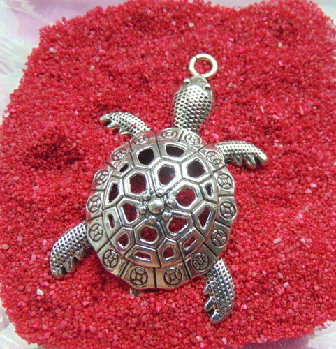 Silberne schildkröten - silberne,