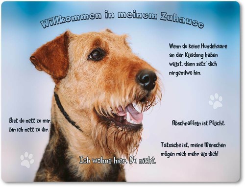 Warnschild 20x30cm - -,