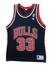 Scottie Pippen 90s Champion