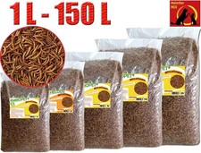 Ambiopet Mehlwürmer getrocknet in Ltr. für Fische Nager Vögel Reptilien Igel Koi