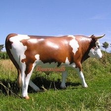 Kuh Stier lebensgroß braun