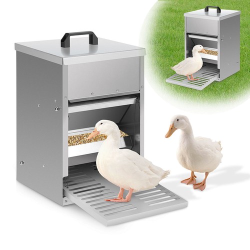 Hühner futterautomat mit - hühner,