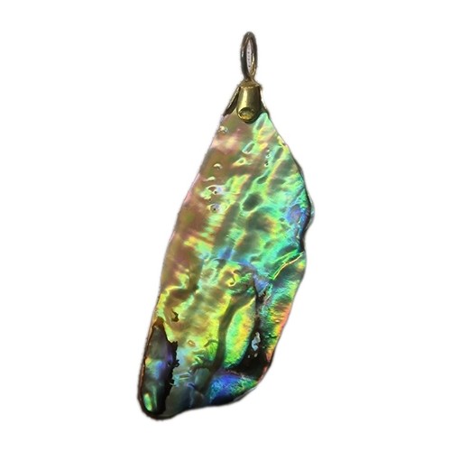 Kettenanhänger abalone shell - abalone,
