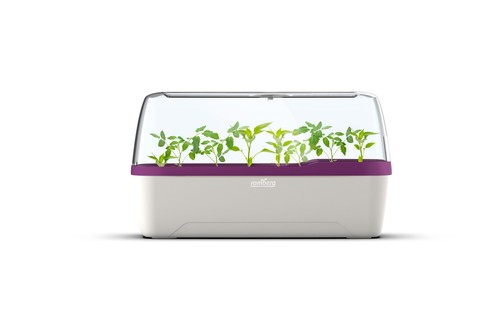 Romberg boqube plus - boqube,