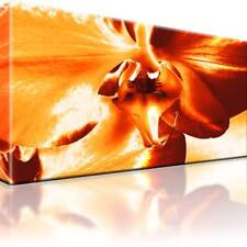 Orchidee Blume Bild Bilder Leinwand Keilrahmen Wandbild Kunstdruck