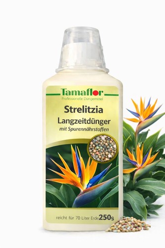 Dünger strelitzien - dünger-,