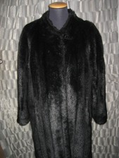 EMOTIONS by AMY VERMONT