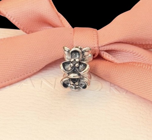 Pandora spacer charm - pandora, wandas