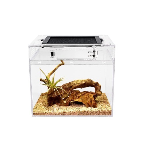 Terrarium für