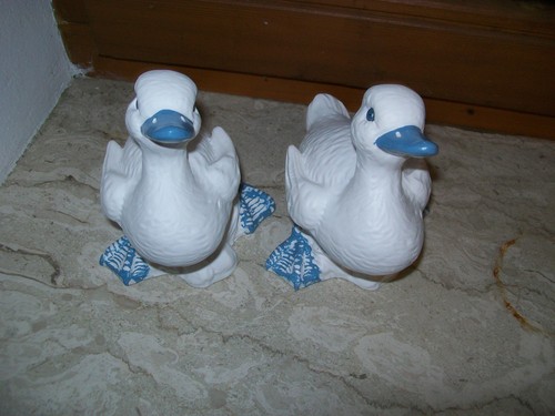Ente gans küken zeho - ✅,