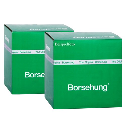 Borsehung bremssattel - borsehung,