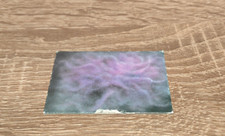 HeroQuest Hero Quest Original