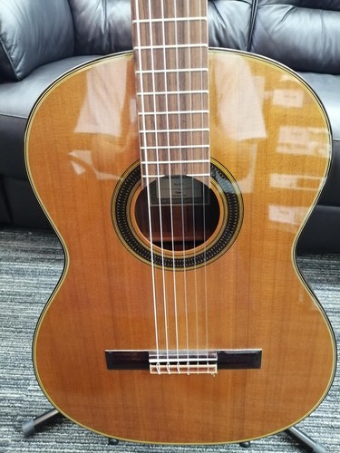 Takamine 310 konzertgitarre - no.310,