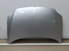 Motorhaube Farbe silber VW Fox