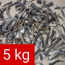 5kg Rehbock Geweihe Deko