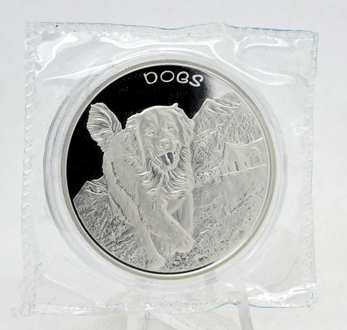 Silber fiji dogs 2022 - fiji, "dogs"