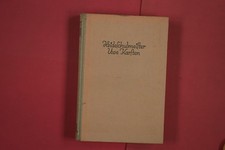 288654 Felicitas Rose