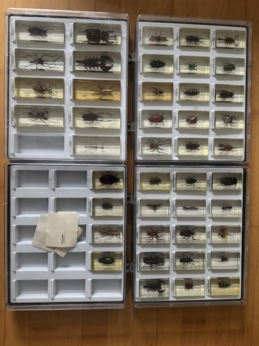 Mini biester sammlung - biester,