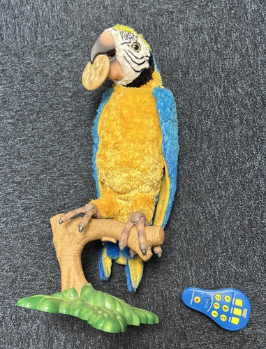 Squawkers mccaw 2007 - mccaw,