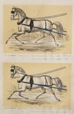 Einspänner Zaumzeug Geschirr Gespann Pferde-Wagen Kutsche coach Trense Sattler 